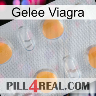 Jelly Viagra 24